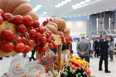 Россия наращивает экспорт сельхозпродукции и продовольствия: рост 23,5% с 2012 года