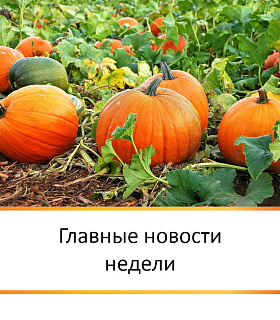 ГЛАВНЫЕ НОВОСТИ НЕДЕЛИ