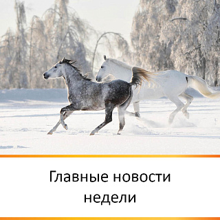 ГЛАВНЫЕ НОВОСТИ НЕДЕЛИ