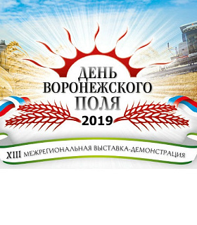 ДЕНЬ ВОРОНЕЖСКОГО ПОЛЯ 2019