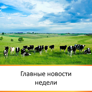 ГЛАВНЫЕ НОВОСТИ НЕДЕЛИ