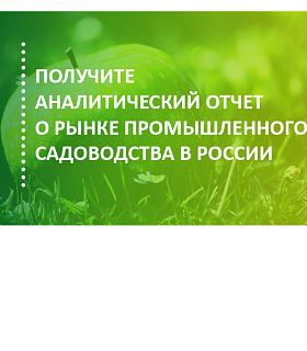 Отчет об итогах 2018 года и перспективах развития рынка промышленного садоводства в России