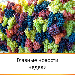 ГЛАВНЫЕ НОВОСТИ НЕДЕЛИ