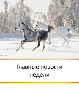 ГЛАВНЫЕ НОВОСТИ НЕДЕЛИ