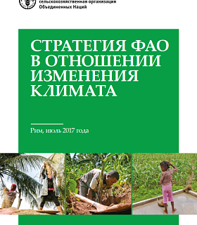 Стратегия ФАО в отношении изменения климата теперь доступна на русском языке