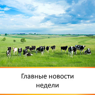 ГЛАВНЫЕ НОВОСТИ НЕДЕЛИ