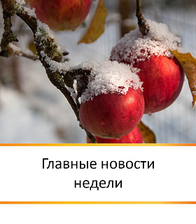 ГЛАВНЫЕ НОВОСТИ НЕДЕЛИ