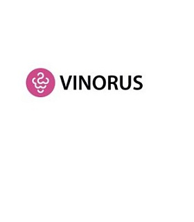 Vinorus-2019 – новые возможности развития российского виноделия и межпрофессионального сотрудничества