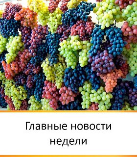 ГЛАВНЫЕ НОВОСТИ НЕДЕЛИ