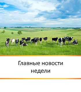 ГЛАВНЫЕ НОВОСТИ НЕДЕЛИ