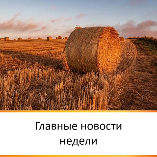 ГЛАВНЫЕ НОВОСТИ НЕДЕЛИ