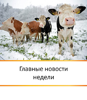 ГЛАВНЫЕ НОВОСТИ НЕДЕЛИ