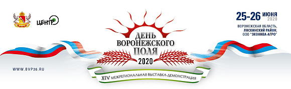 День Воронежского поля-2020