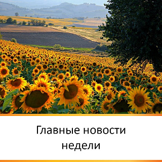 ГЛАВНЫЕ НОВОСТИ НЕДЕЛИ