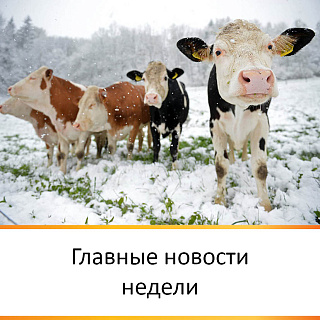 ГЛАВНЫЕ НОВОСТИ НЕДЕЛИ