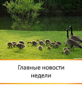 ГЛАВНЫЕ НОВОСТИ НЕДЕЛИ 